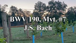 BWV 190 Mvt 7  JS Bach [upl. by Zigmund238]