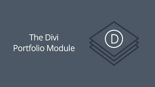 The Divi Portfolio Module [upl. by Clance]