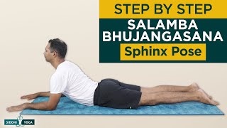 Salamba Bhujangasana Sphinx Pose Benefits by Yogi Sandeep  Siddhi Yoga [upl. by Yanrahc]