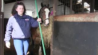 Study Equine at Duchy College Stoke Climsland VOD [upl. by Siuqaj20]