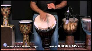 X8 Drums World Tribal Djembe Large Demonstration [upl. by Baiss]