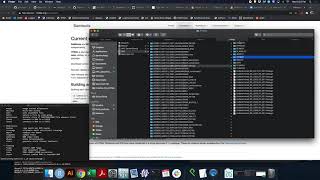 Samtools Mpileup Tutorial [upl. by Yrellam]