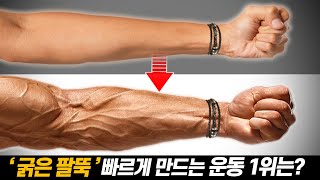 과학적으로 팔뚝전완근 가장 빠르게 키워주는 운동 1위는 [upl. by Rothschild457]