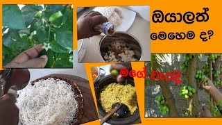 විනාඩි 10 පහසු ක්‍රමයට ඉඳිආප්ප හදමුEasy method to string hopperssoft deliciousjumbo string hoppers [upl. by Aneleiram]