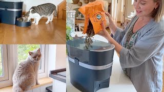 Petsafe Smart Feed Automatic Dog and Cat Feeder Review [upl. by Ylrebnik]