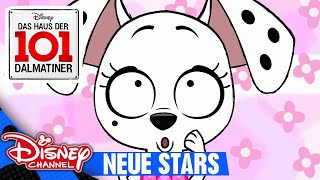 DAS HAUS DER 101 DALMATINER  Clip Neue Stars  Disney Channel [upl. by Iver]