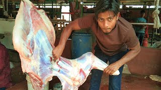 Bangladeshi Beef Bazar Expert Cuts Meat Like a BOSS [upl. by Uttasta153]