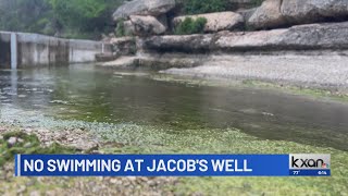 Jacob’s Well suspends 2024 swimming season [upl. by Dimitri]