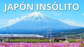 JAPÓN INSÓLITO  Las maravillas más alucinantes de Japón [upl. by Mosier458]