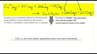 Ionic and Net Ionic Equations tutorial  Crash Chemistry Academy [upl. by Ognimod]