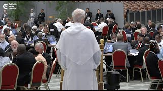 Voices from the synod on synodality [upl. by Annazor]