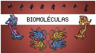 🧪 Biomoléculas  ¿De qué están hechos los seres vivos 🐶🐱👩‍🔬👨‍🔬 [upl. by Ayel]