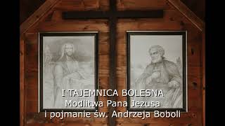 📿 Różaniec za Ojczyznę z Wojownikami Maryi ⚔  Tajemnice bolesne i męczeństwo św Andrzeja Boboli [upl. by Yrrag274]