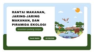 Rantai Makanan JaringJaring Makanan dan Piramida Ekologi [upl. by Erait]