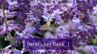 Herzlichen Dank [upl. by Colleen]