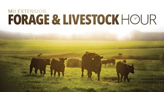 Fall Forage Fertility Management – Forage amp Livestock Hour [upl. by Odraleba638]