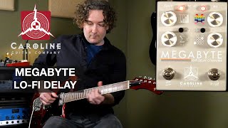 Caroline Guitar Company Megabyte LoFi Delay Computer [upl. by Nomi212]