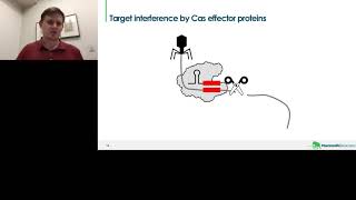 CRISPR Proteins Enabling the NextGeneration of Molecular Diagnostics [upl. by Yelak]