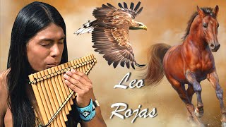 ★ Leo Rojas ★ Best Hits of All Time ★ Leo Rojas ★ [upl. by Aruon]