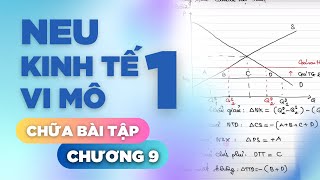 NEU  KINH TẾ VI MÔ 1  CHƯƠNG 9  CHỮA BÀI TẬP [upl. by Annoif]