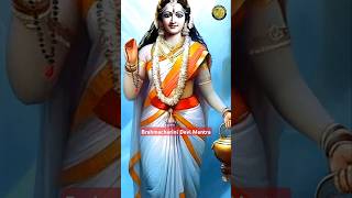 Brahmacharini Devi Mantra  Second Navratri  Shardiya Navratri brahmacharinimantra shortfeed [upl. by Ahsinawt686]