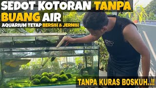 Cara SIFON Aquarium TANPA BUANG AIR Aquarium Tetap BERSIH Dan JERNIH Tanpa SEDOT MULUT [upl. by Eentroc423]