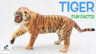 TIGER FACTS  Fun amp Educational  For Kids  Best Animal Facts  From Learning Toolkit [upl. by Concoff135]