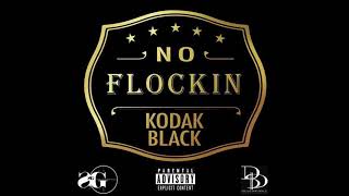 Kodak Black  No Flockin 2 Bodak Orange Instrumental [upl. by Ellehcem860]