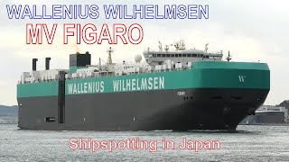 自動車運搬船 MV FIGARO  WALLENIUS WILHELMSEN  2021DEC  Shipspotting Japan [upl. by Ahsinawt307]