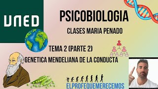 Psicobiologia UNED TEMA 2  parte 2 Maria Penado [upl. by Tsugua588]