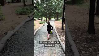 Epic Family Camping Adventure in Northern California [upl. by Midan967]