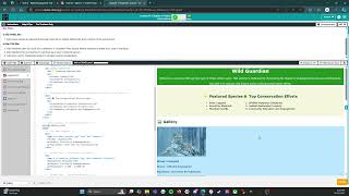 Codeorg  CS Discoveries  Unit 2 Web Development  Lesson 14 Level 1 Jamilas Web Page [upl. by Oigolue]