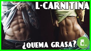 LCARNITINA ¿El mejor QUEMADOR de grasa De la teoría a la práctica [upl. by Nitsirt]