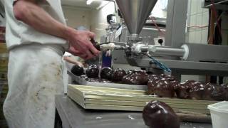 Bossche Bollen van Jan de Groot [upl. by Ettenauq]