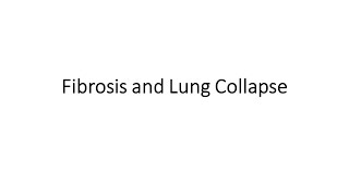 Fibrosis amp Lung Collapse [upl. by Ignace]