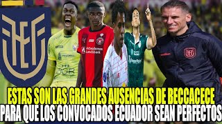 ESTAS SON LAS GRANDES AUSENCIAS DE BECCACECEPARA QUE LOS CONVOCADOS ECUADOR SEAN PERFECTOS [upl. by Newby]