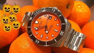 New ROTARY Henley Seamatic  Very Affordable Automatic Diver [upl. by Chlori543]