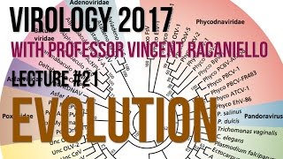 Virology Lectures 2017 21 Evolution [upl. by Ekaj]