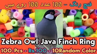 Java Finch Hard Plastic Cut Rings  Bengalese Zebra Penguin Canary 100 Pcs Mix Color Rings in Rs100 [upl. by Higginson96]