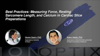 Best Practices  Measuring Force Resting Sarcomere Length and Calcium in Cardiac Slices [upl. by Sedberry]