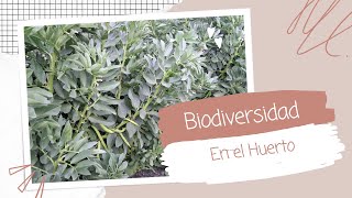 La Biodiversidad en el Huerto [upl. by Attesor]