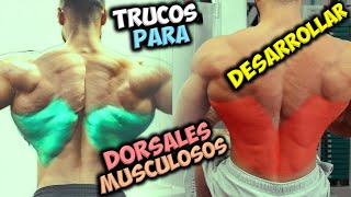 TRUCOS Para DESARROLLAR 📢 Unos DORSALES Grandes Y Musculosos  Gana Una ESPALDA 👉 En Forma De V [upl. by Ddarb]