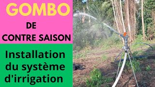 irrigation du gombo de contre saison  mise en place du système darrosage  épisode 1 [upl. by Saltzman951]