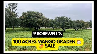 100 Acres mango🥭🏠 graden sale  Acre 22 lakhs  west godavari district  9 borewells [upl. by Schonfield845]