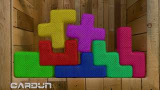 Tetris Softbody Pentomino With Wooden [upl. by Aieken148]