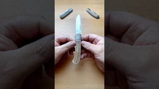 Tuya Tortuga V2 knifeshorts knifereview knifegallery knifecommunity knifeclub [upl. by Tdnaltroc]