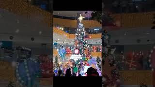 A Christmas Fantasea🐙🐟🎄 Merriest Christmas 2024  SMCityGensan grandlighting ceremony November4 [upl. by Cohbath]