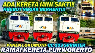 EDAN KERETA MOBIL INI NGGAK BERHENTI amp JALAN NGEBUT 15 Kereta Api TERBARU Stasiun Purwokerto 2024 [upl. by Ellita452]