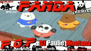 WeBareBears  Panda Remix Official Music Video [upl. by Hteboj]