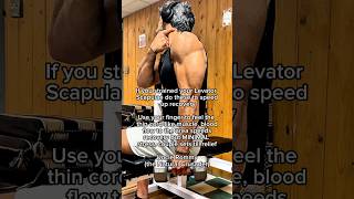 Strained Levator Scapulae Speedy Recovery Exercise [upl. by Sisely876]